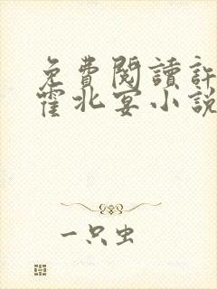 免费阅读许南歌霍北宴小说