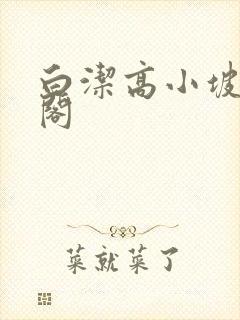 白洁高小坡笔趣阁