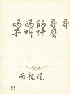 妈妈的哥哥的孩子叫什么封面