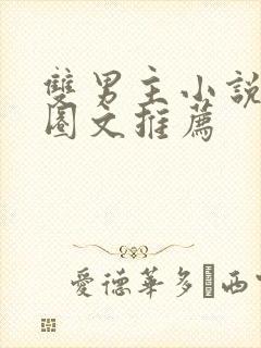 双男主小说娱乐圈文推荐