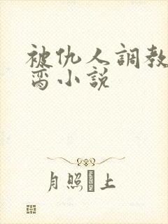 被仇人调教成禁脔小说