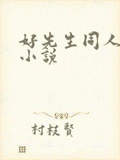 好先生同人改编小说