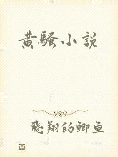 黄骚小说