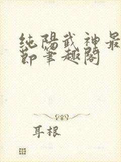 纯阳武神最新章节笔趣阁
