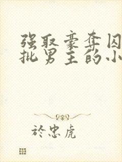 强取豪夺囚禁疯批男主的小说