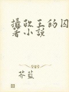 摄政王的囚凰原著小说封面