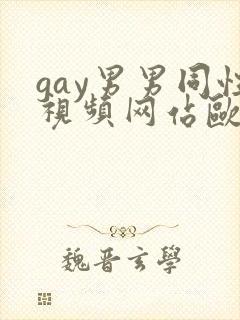 gay男男同性视频网站欧美