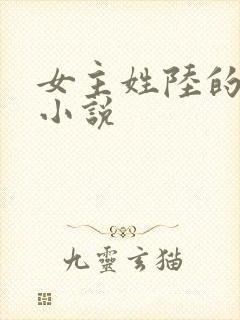 女主姓陆的现代小说