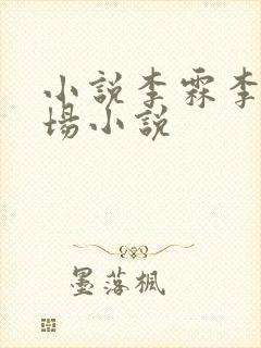 小说李霖李澜官场小说
