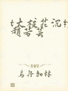 t大校花沉续集赵若芸