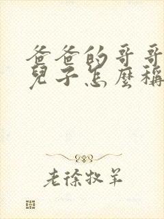 爸爸的哥哥家的儿子怎么称呼封面