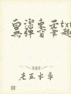 白洁东子txt无弹窗笔趣阁封面