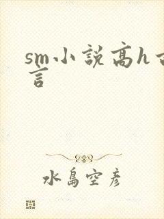 sm小说高h古言