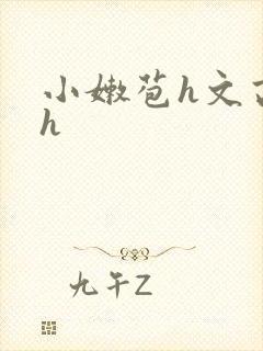 小嫩苞h文高辣h