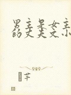 男主是女主姐姐的丈夫文小说封面
