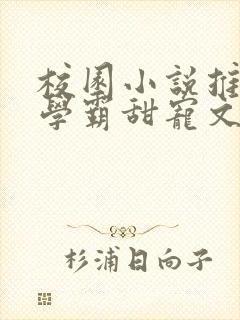 校园小说推荐双学霸甜宠文
