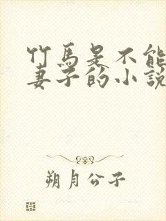 竹马是不能变成妻子的小说
