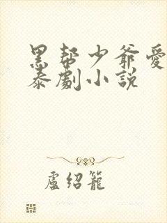 黑帮少爷爱上我泰剧小说