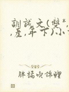 训诫文(双*,,产,年下)小说