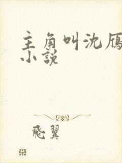 主角叫沈雁冰的小说