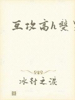 互攻高h双男主
