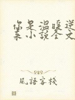 你是温暖逆光而来小说全文阅读