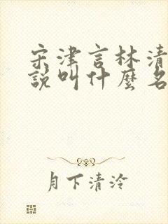 宋津言林清妍小说叫什么名字