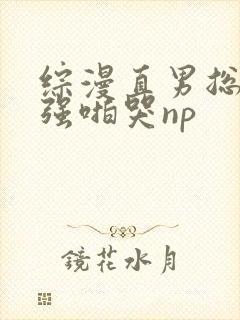 综漫直男总受被强啪哭np