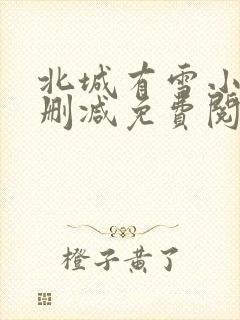 北城有雪小说无删减免费阅读封面