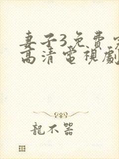 妻子3免费完整高清电视剧在线观看
