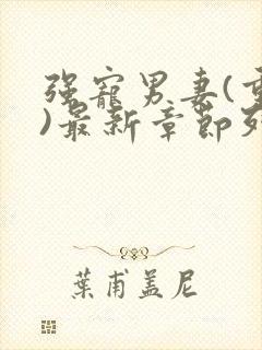 强宠男妻(重生)最新章节列表