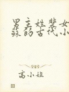 男主姓裴女主姓苏的古代小说封面