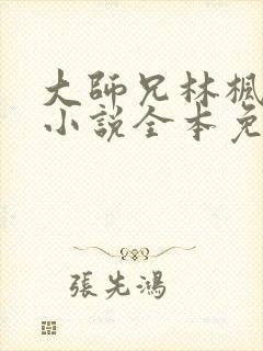 大师兄林枫穿越小说全本免费阅读