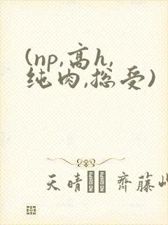 (np,高h,纯肉,总受)封面