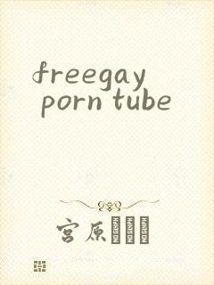 freegay porn tube
