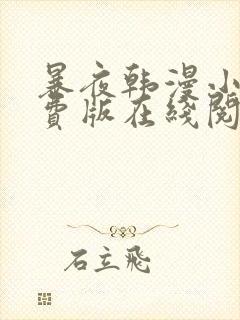 暴夜韩漫小说免费版在线阅读全文