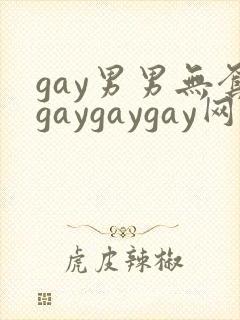 gay男男无套gaygaygay网站封面