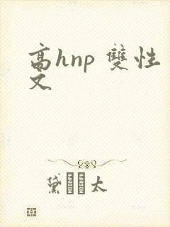 高hnp 双性文