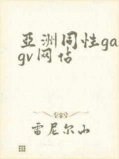 亚洲同性gaygv网站