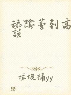 舔阴蒂到高潮小说