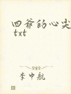 四爷的心尖宠妃 txt封面