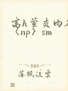 高h荤爽肉欲文〈np〉sm