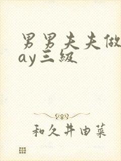 男男夫夫做爰gay三级