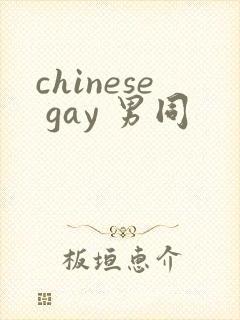 chinese gay 男同