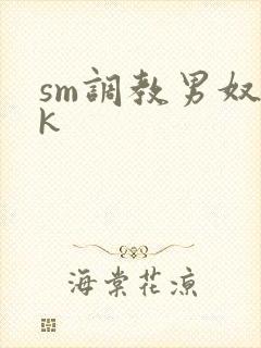 sm调教男奴vk