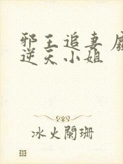 邪王追妻 废材逆天小姐
