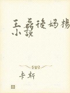 王磊后妈杨晓芬小说