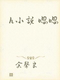 h小说 嗯嗯
