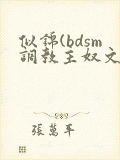 似锦(bdsm调教主奴文)