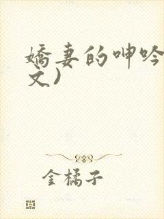 娇妻的呻吟(辣文)封面